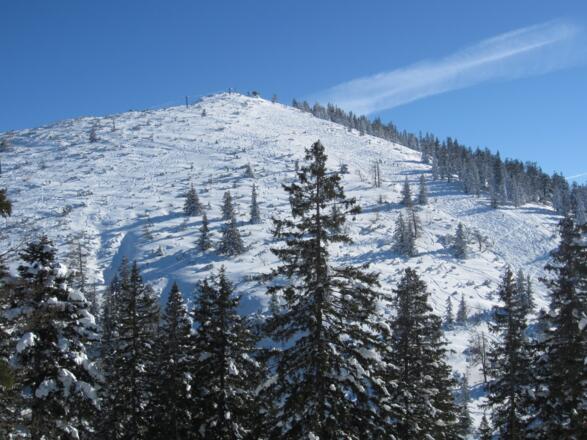 Hochschlegel