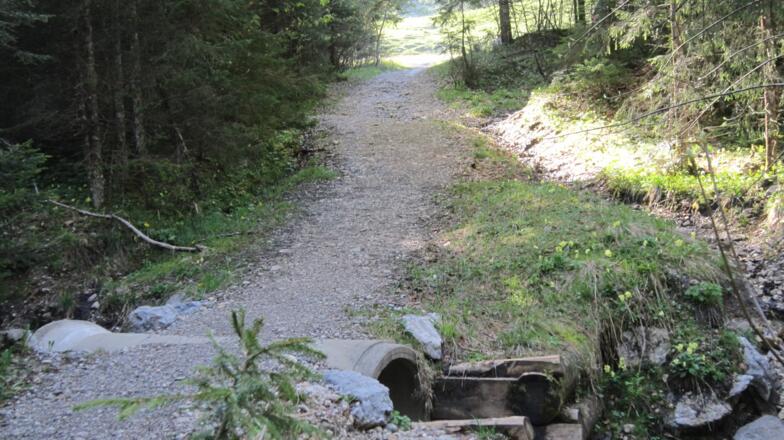 Die letzten Meter vor dem Eibelsfleck