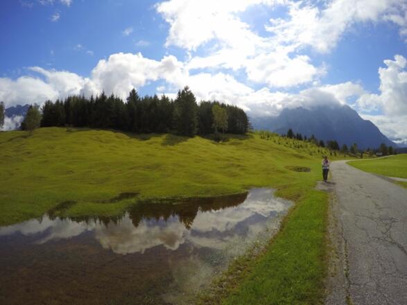 Der bequeme asphaltierte Weg durch die Buckelwiesen