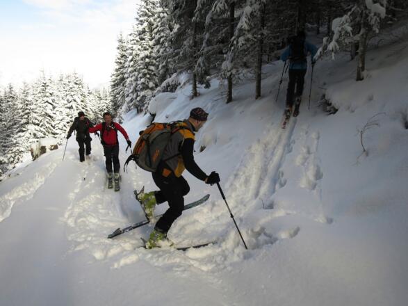 Nach ca. 500 m auf der Forststraße kann man links abbiegen und ...