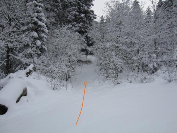 kurz vor Röthelbach links in den Wald (Abkürzung)