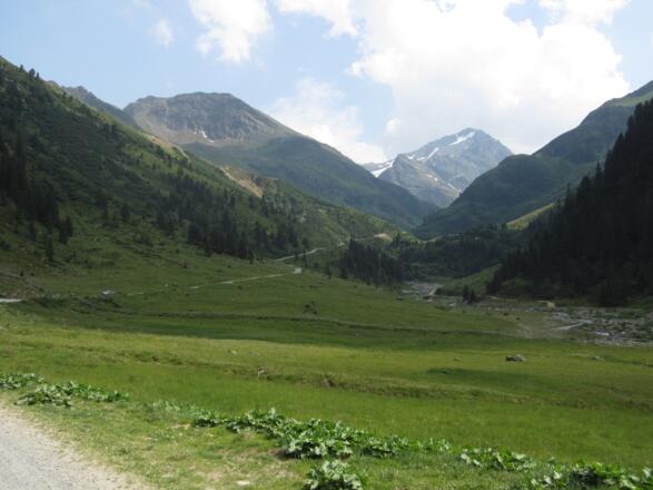 idylische Almlandschaft