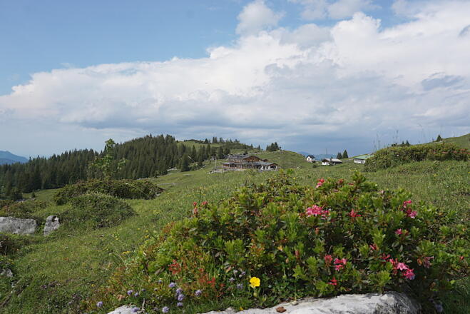 Eggenalm mit Straubinger Haus
