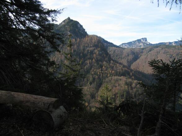 Rastbank, Sicht zum Saurüsselkopf und zur Hörndlwand