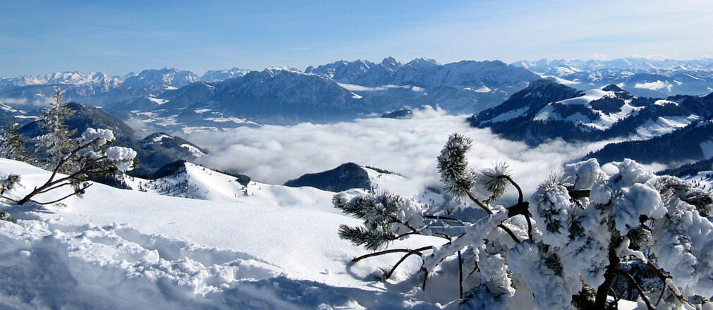 Traumhafter Blick zum "Zahmen und Wilden Kaiser"!