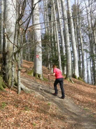 steiler Schwenk in den Südrücken