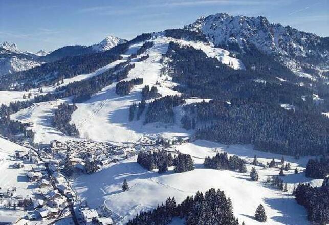 Jungholz im Wintermantel, von oben aus gesehen.