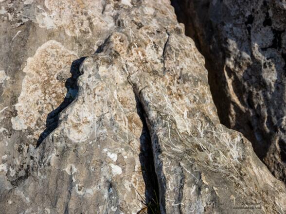 Polierter und gleichzeitig zerkratzter Fels weist den Weg.