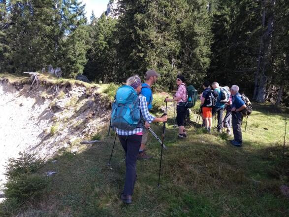 Am Rand der Kiesgrube