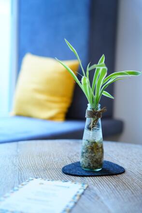 Wohnzimmer Coffeeshop