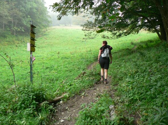 Wegweiser im Sulzboden