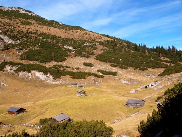 Almboden um 1500 m