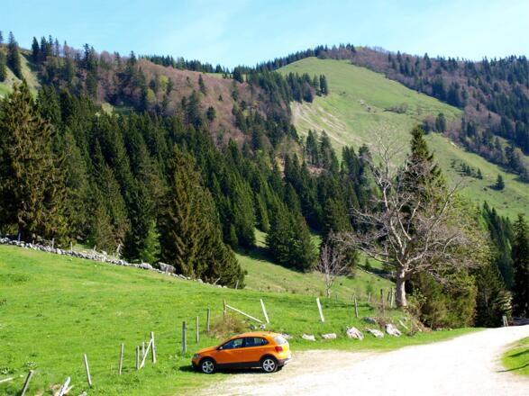Illingerbergalm Parkplatz ~1200m