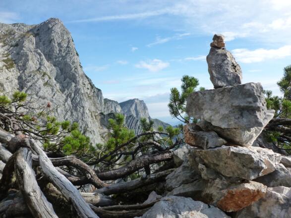 auf dem Weg zum Einstieg