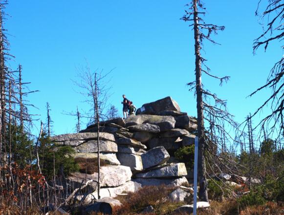 Bayrischer Plöckenstein 1365m