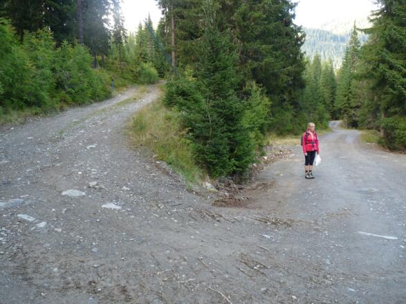 Wir wechseln nochmals vom Schöntal ins Leitnertal, um zum Ausgangspunkt zurückzukehren.