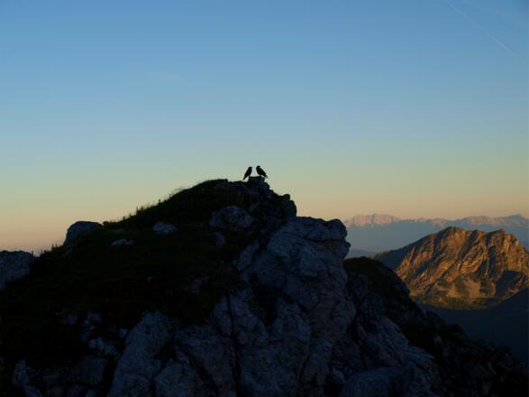 Meregg 2235 m, Raben vor Sonnenaufgang