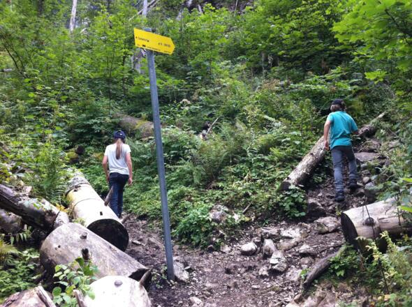 Abzweigung (1150 m): links zum Seespitz, rechts zur Dümlerhütte