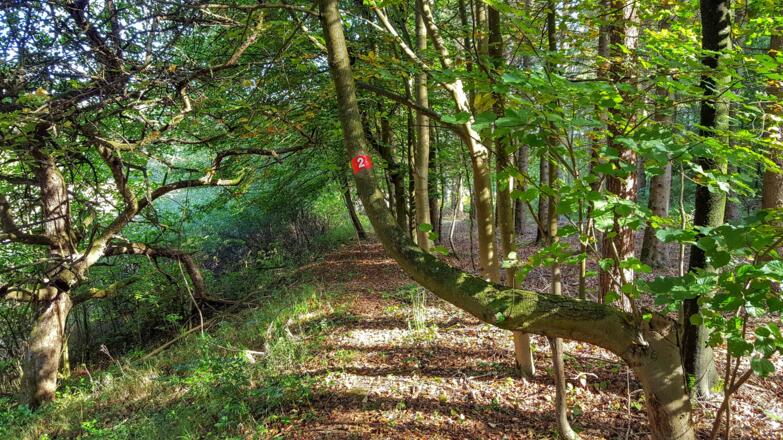 Zu Beginn folgen wir dem Wanderweg Nr. 2