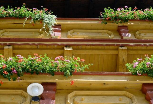 Aussenansicht im Sommer