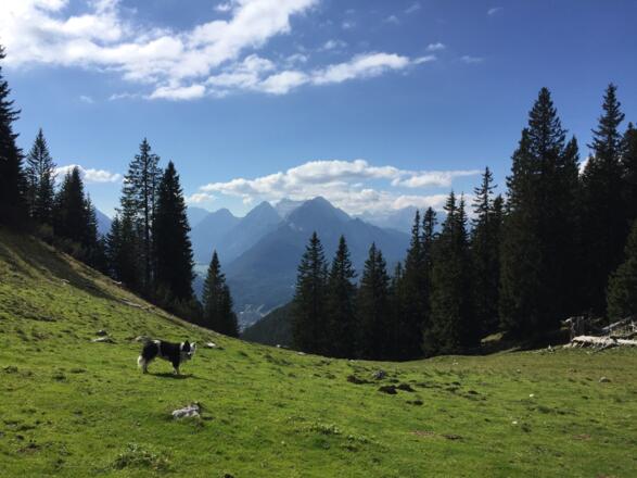 Im Sattel unterhalb des Zunterweidkopfes mit tollen Ausblicken in Richtung Mittenwald (dieses Bild) und auf der anderen Seite zur Soiernspitze