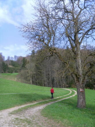 Abzweig bei Höhenroith