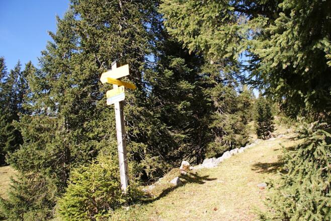 Weg nach der Wirtschaftswegquerung