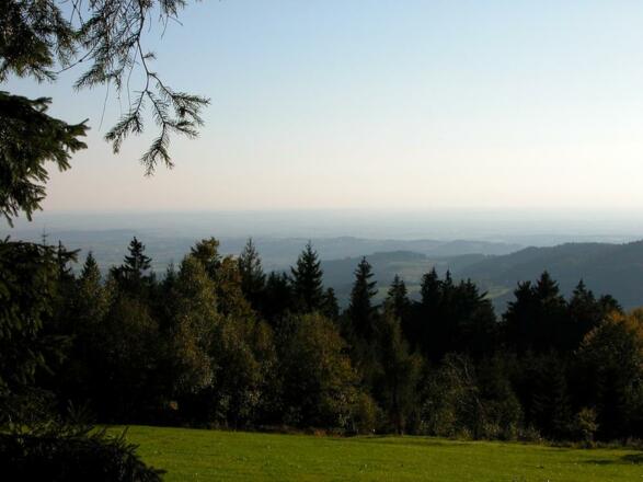 Fernsicht von Maibrunn