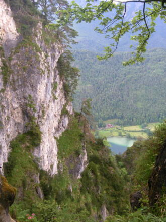 Thumsee