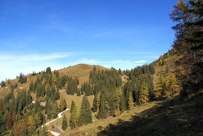 Blick zum Wirtschaftsweg zur Eggenalm/zum Straubinger Haus