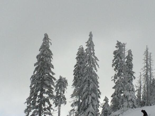 Winterlandschaft
