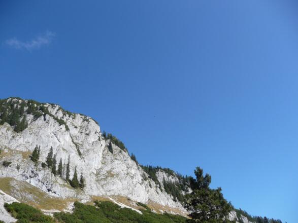 ...die Köngswand