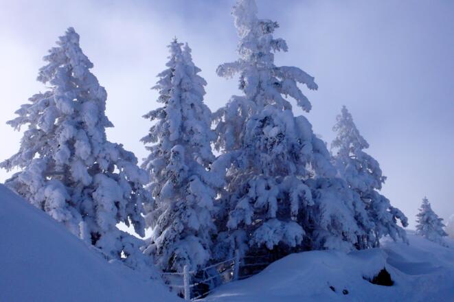 Winterlandschaft