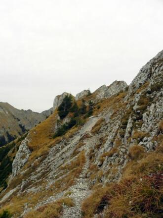 Der Steig zum Gipfel