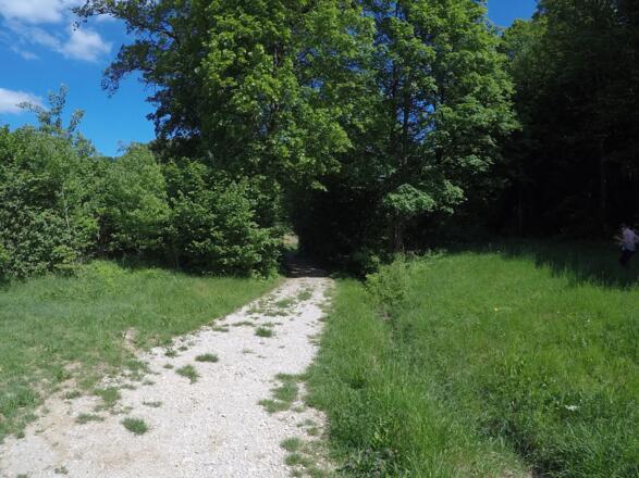 Bequemer Weg zwischen Hungenberg und Unterailsfeld