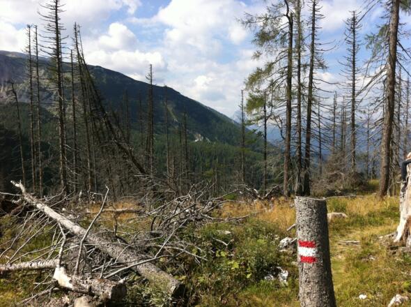 Blick aus Abstiegsrichtung zum Warscheneck und Dümlerhütte (Bildmitte)