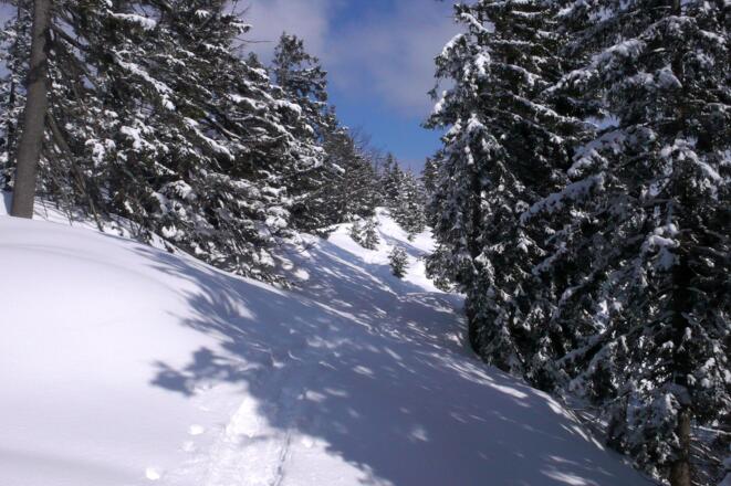 Blick zurück auf den Weg, kurz nach der Ochsenspitz