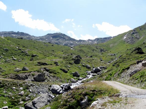 Blick nach Süden Richtung Naviser Joch. Was für eine traumhafte Landschft zum Radl fahren.