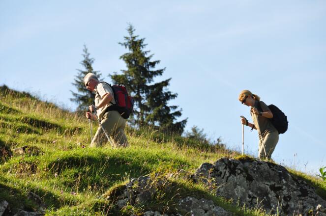Kurz hinter dem Spitzingsattel - Über Almwiesen hinauf zur Schönfeldhütte