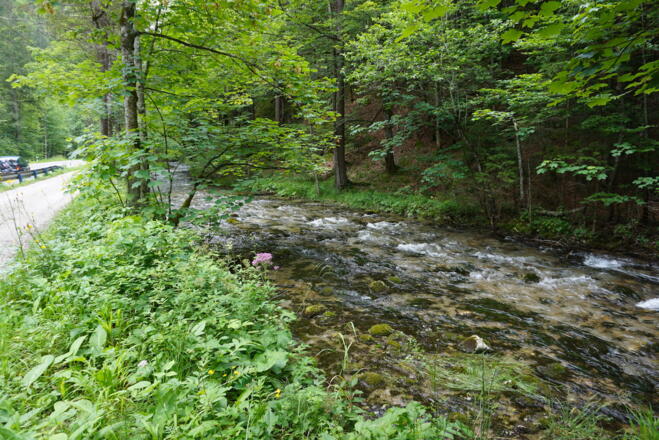 Radweg zum Lödensee entlang des Seetraun-Baches