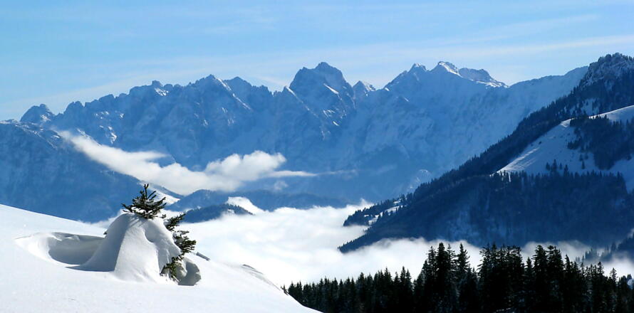 Fernblick zum "unnahbaren" Wilden Kaiser!