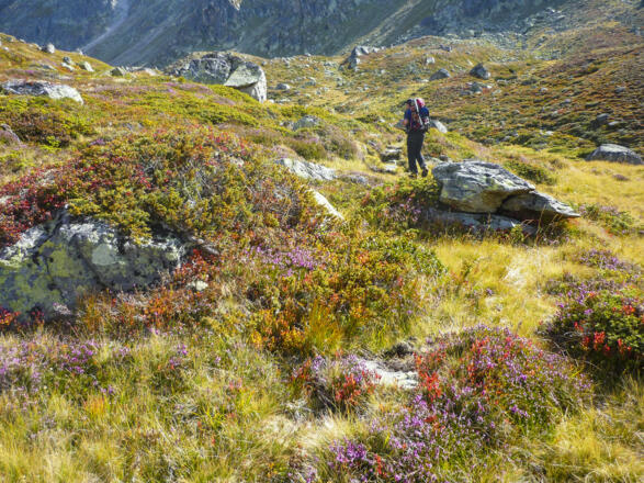 Steiler Gaißkarweg