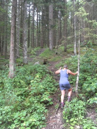 Abzweig des Wanderpfads