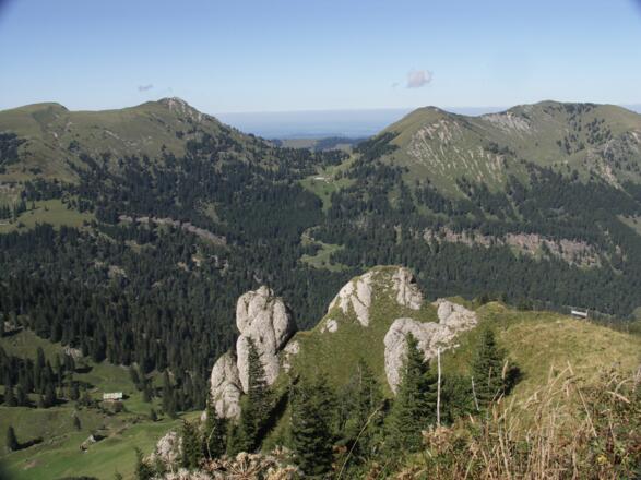 Blick auf die Nagelfluhkette.