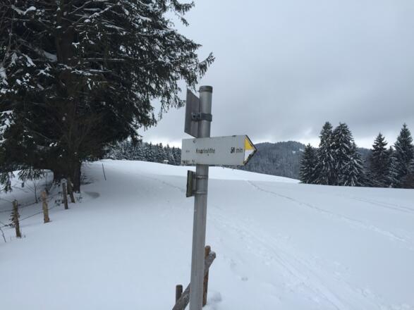 Erste Anhöhe erreicht! Im Hintergrund ist der Skilift Gohrersberg noch zu sehen