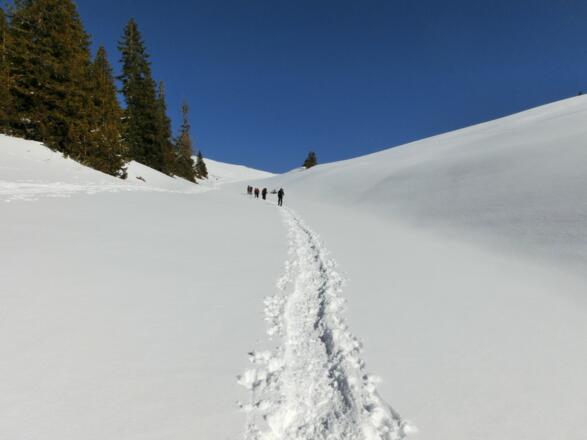 entlang vom Zipfelbach Richtung Obere Stuiben Alpe