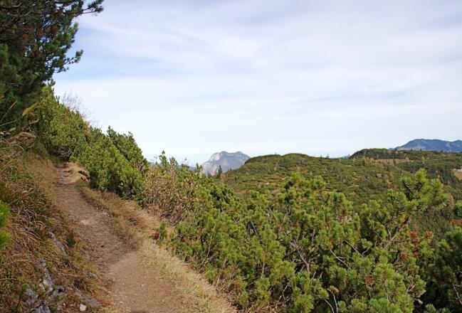 Panoramaweg mit Blick zum Gurnwandkopf (1691m)