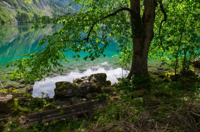 Auszeit am Obersee