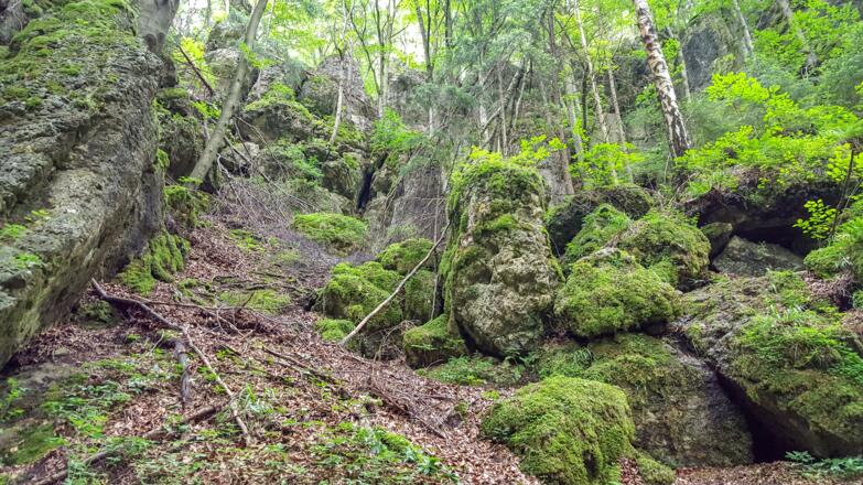 Beim Abstieg von Höhle 34 geht es durch steiles wegloses Gelände (zurückblickend)