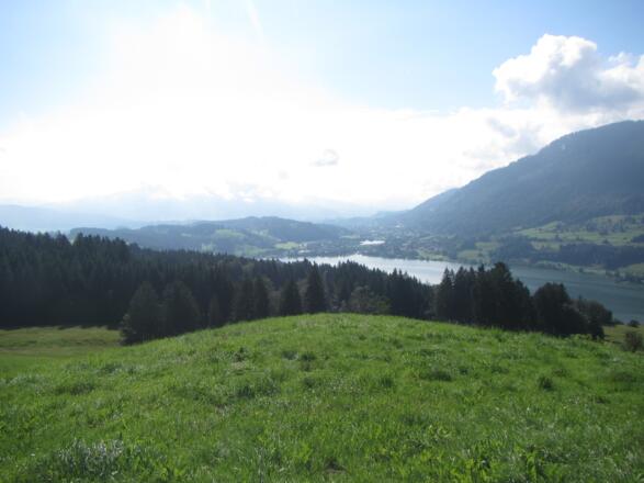 Der Große Alpsee und das Illertal.